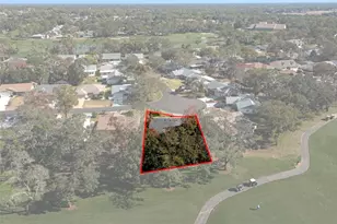 2401 Birdie Ln, Spring Hill, FL 34606 - Photo 37