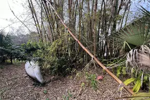 6420 Oelsner St, New Port Richey, FL 34652 - Photo 17