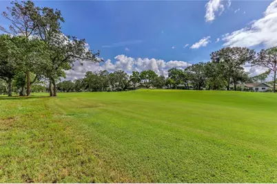 2376 Bent Pine Court, Spring Hill, FL 34606 - Photo 59
