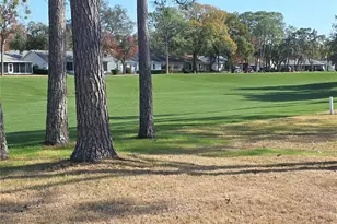 2376 Bent Pine Ct, Spring Hill, FL 34606 - Photo 21