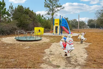 30342 Vitex Avenue, Eustis, FL 32736 - Photo 35