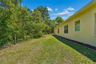 30342 Vitex Ave, Eustis, FL 32736 - Photo 33
