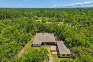 30342 Vitex Ave, Eustis, FL 32736 - Photo 35