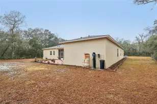 30342 Vitex Ave, Eustis, FL 32736 - Photo 53