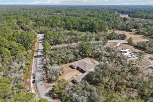 30342 Vitex Ave, Eustis, FL 32736 - Photo 65