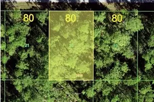 12049 Gahan Ave, Port Charlotte, FL 33953 - Photo 1