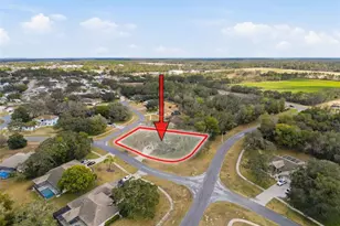 132 Forest Wood Ct, Spring Hill, FL 34609 - Photo 47