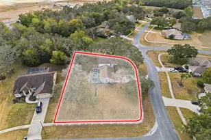 132 Forest Wood Ct, Spring Hill, FL 34609 - Photo 41