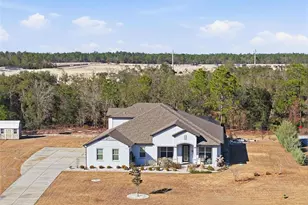 9667 Pantera Loop, Weeki Wachee, FL 34613 - Photo 77