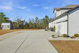 9667 Pantera Loop, Weeki Wachee, FL 34613 - Photo 5