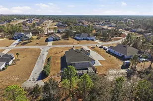 9667 Pantera Loop, Weeki Wachee, FL 34613 - Photo 73