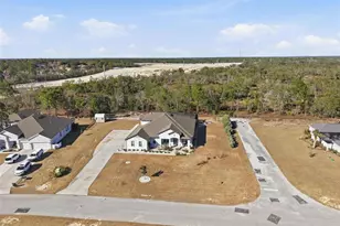 9667 Pantera Loop, Weeki Wachee, FL 34613 - Photo 69