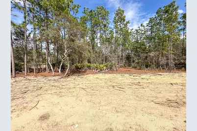 4400 N Deckwood Drive, Beverly Hills, FL 34465 - Photo 5