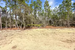 4400 N Deckwood Dr, Beverly Hills, FL 34465 - Photo 5