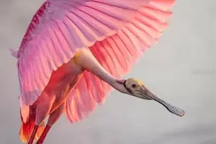 12809 4th Isle, Hudson, FL 34667 - Photo 67