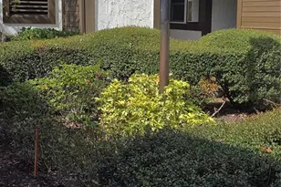 4140 Passport Ln, New Port Richey, FL 34653 - Photo 11