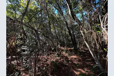 2293 Marietta Avenue, Spring Hill, FL 34608 - Photo 3