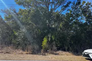 2293 Marietta Ave, Spring Hill, FL 34608 - Photo 1