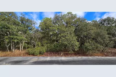 4331 W Donali Court, Homosassa, FL 34446 - Photo 1