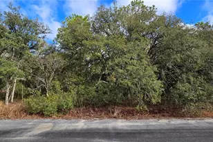 4331 W Donali Ct, Homosassa, FL 34446 - Photo 1