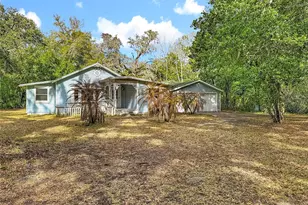 1025 Garfield Ave, Brooksville, FL 34604 - Photo 9