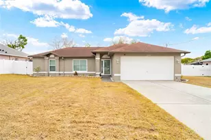 11244 Redgate St, Spring Hill, FL 34609 - Photo 19