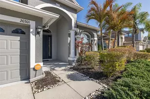 20301 Falling Rock Dr, Land O Lakes, FL 34638 - Photo 63