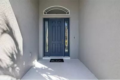 20301 Falling Rock Drive, Land O Lakes, FL 34638 - Photo 5