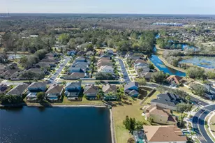 20301 Falling Rock Dr, Land O Lakes, FL 34638 - Photo 67