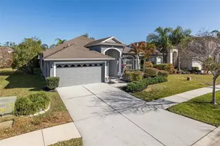 20301 Falling Rock Dr, Land O Lakes, FL 34638 - Photo 3
