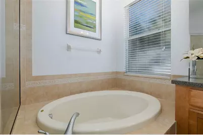 20301 Falling Rock Drive, Land O Lakes, FL 34638 - Photo 25