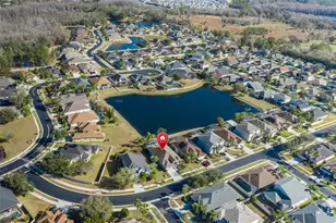 20301 Falling Rock Dr, Land O Lakes, FL 34638 - Photo 57