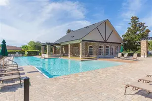 20301 Falling Rock Dr, Land O Lakes, FL 34638 - Photo 87
