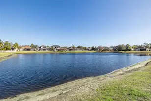 20301 Falling Rock Dr, Land O Lakes, FL 34638 - Photo 53