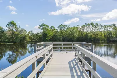 20301 Falling Rock Drive, Land O Lakes, FL 34638 - Photo 91