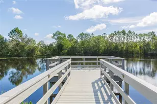 20301 Falling Rock Dr, Land O Lakes, FL 34638 - Photo 91
