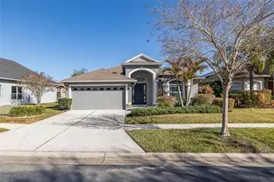 20301 Falling Rock Dr, Land O Lakes, FL 34638 - Photo 79
