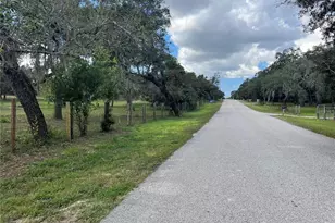 12824 Ithica Ave, Hudson, FL 34667 - Photo 19