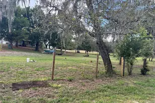 12824 Ithica Ave, Hudson, FL 34667 - Photo 15