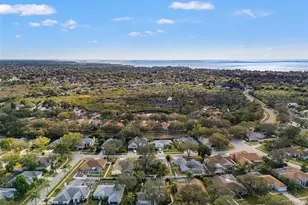 958 Ridgewood Terrace, Tarpon Springs, FL 34689 - Photo 65