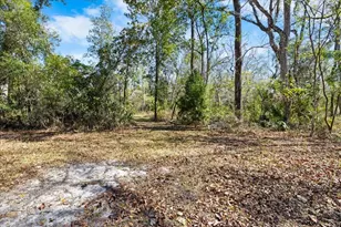 19611 Manecke Rd, Brooksville, FL 34601 - Photo 37