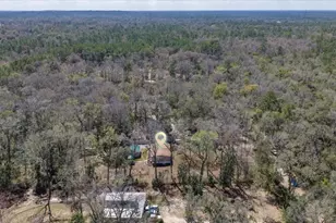 19611 Manecke Rd, Brooksville, FL 34601 - Photo 43