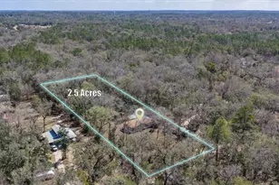 19611 Manecke Rd, Brooksville, FL 34601 - Photo 3