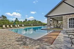 3303 Stonegate Falls Dr, Land O Lakes, FL 34638 - Photo 69