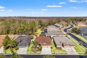 3303 Stonegate Falls Dr, Land O Lakes, FL 34638 - Photo 9