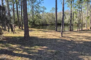 3303 Stonegate Falls Dr, Land O Lakes, FL 34638 - Photo 11