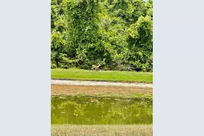 9249 Edistro Place, New Port Richey, FL 34654 - Photo 69