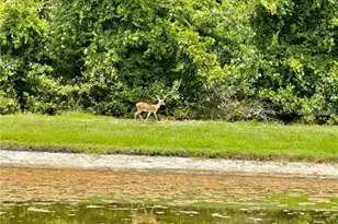 9249 Edistro Pl, New Port Richey, FL 34654 - Photo 69