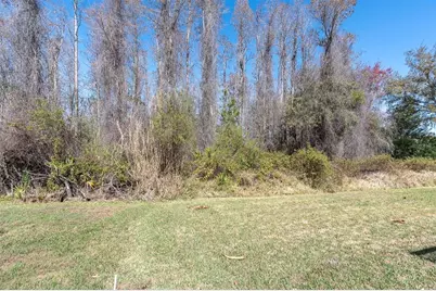 1014 Arlinbrook Drive, Trinity, FL 34655 - Photo 41