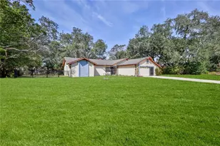 1299 Stallings Ave, Spring Hill, FL 34609 - Photo 53